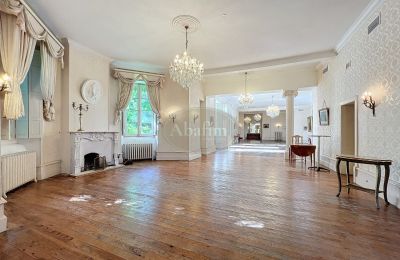 Château à vendre 31000 Toulouse, Occitanie, Salle de bal