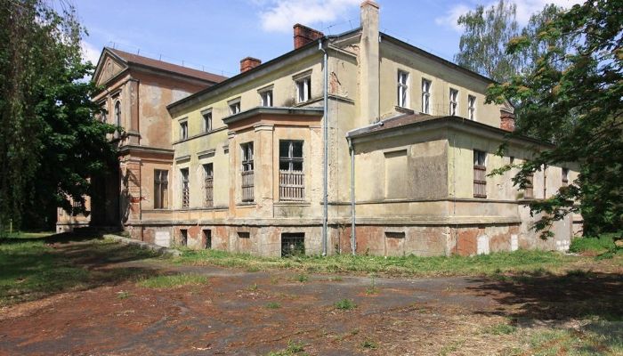 Manoir à vendre Strzyżno, Poméranie occidentale,  Pologne