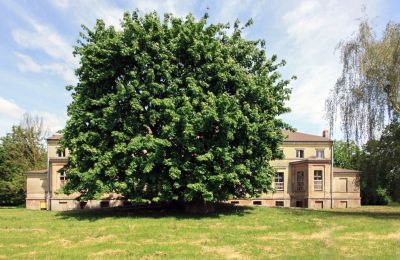 Manoir à vendre Strzyżno, Pałac w Strzyżnie, Poméranie occidentale, Vue frontale