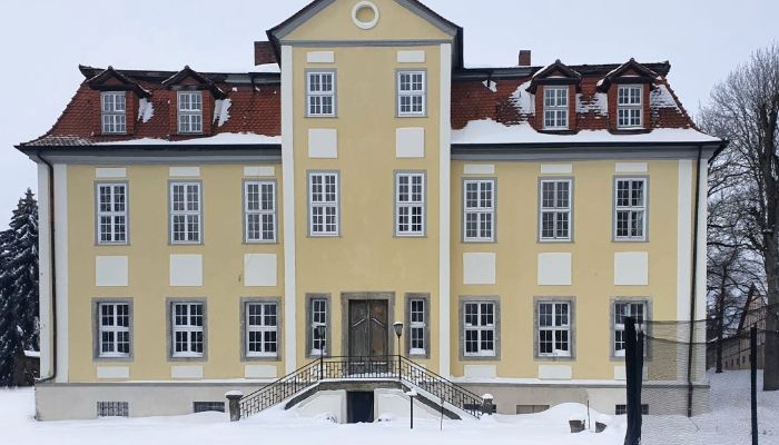 Château à vendre Thuringe