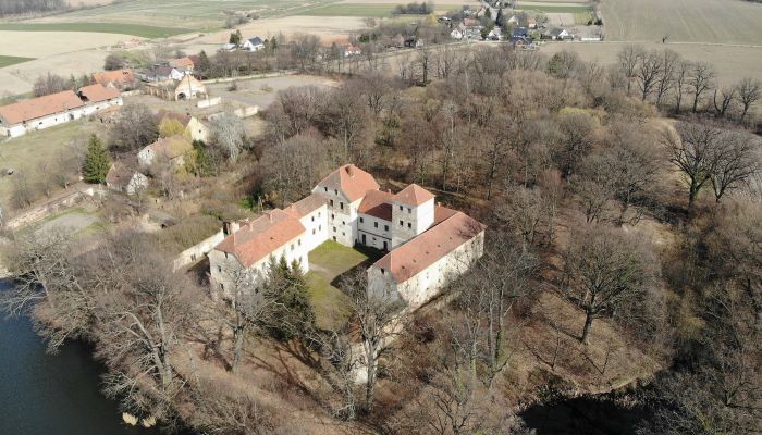 Château médiéval à vendre Witostowice, Basse-Silésie,  Pologne