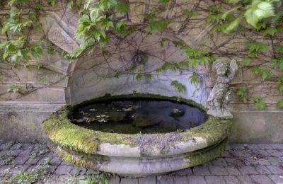 Villa historique à vendre Vernaison, Auvergne-Rhône-Alpes, Image 16/29