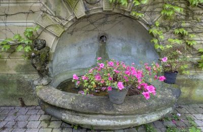 Villa historique à vendre Vernaison, Auvergne-Rhône-Alpes, Détails