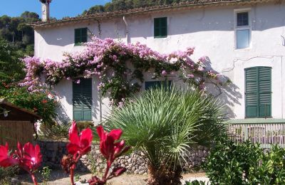 Maison de campagne à vendre Sóller, Cami de Cas Carreter 5, Îles Baléares, Image 10/12