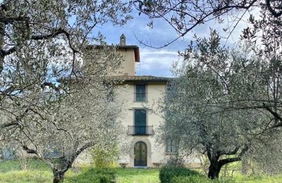 Villa historique à vendre Firenze, Toscane, Vue extérieure