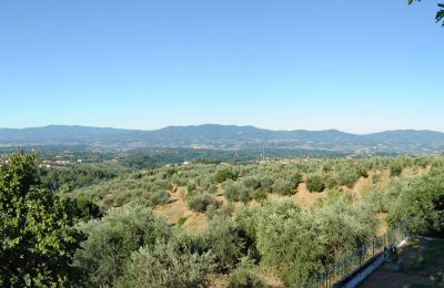 Propriété historique à vendre Reggello, via andrea costa  154, Toscane, Image 12/12