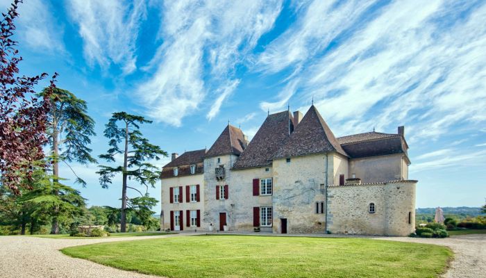 Château à vendre Monségur, Nouvelle-Aquitaine,  France