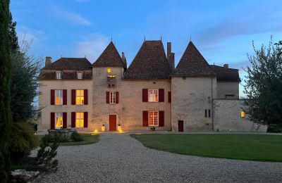 Château à vendre Monségur, Nouvelle-Aquitaine, Vue frontale