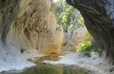 Propriété historique à vendre Occitanie, Terrain