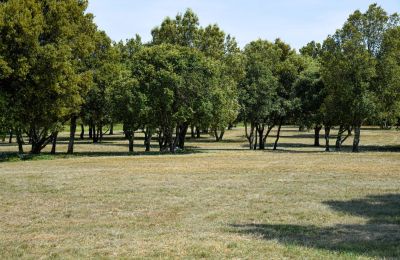 Propriété historique à vendre Occitanie, Image 29/32