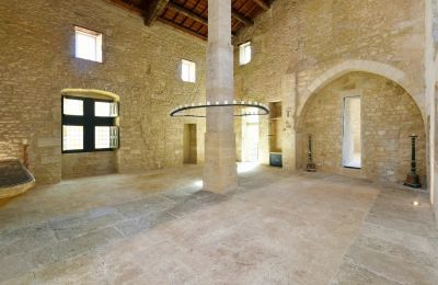 Château à vendre Uzès, Occitanie, Grande salle