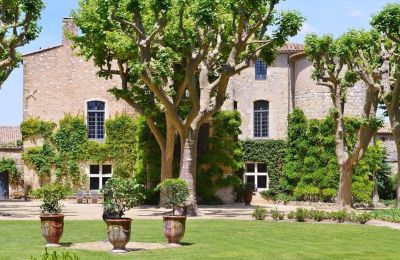 Château à vendre Saint-Chaptes, Occitanie, Vue frontale