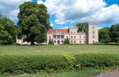 Château à vendre Gościeszyn, Pałac w Gościeszynie, Grande-Pologne, Pałac w Gościeszynie