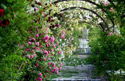 Château à vendre Barjac, Occitanie, Jardin