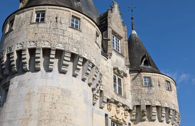 Château à vendre Chartres, Centre-Val de Loire, Détails