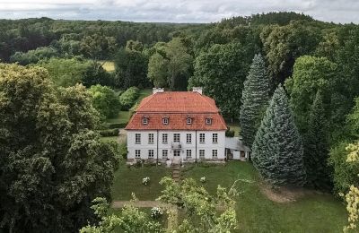 Manoir à vendre Dawidy, Dwór w Dawidach, Varmie-Mazurie, Photo Drone