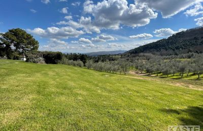 Maison de campagne à vendre Rivalto, Toscane, Vue