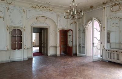 Château à vendre Lubinicko, Lubinek, Lubusz, Salle de bal