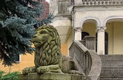 Château à vendre Lubinicko, Lubinek, Lubusz, Détails