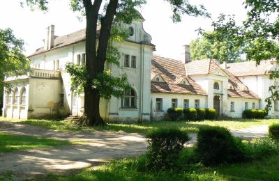 Manoir à vendre Oporowo, Dwór w Oporowie 1, Grande-Pologne, Vue frontale