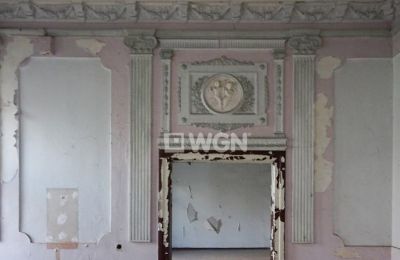 Château à vendre Dobrocin, Pałac w Dobrocinie, Basse-Silésie, Détails