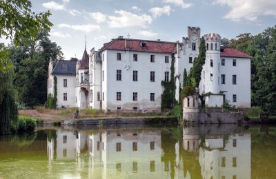 Château à vendre Dobrocin, Pałac w Dobrocinie, Basse-Silésie, Vue latérale