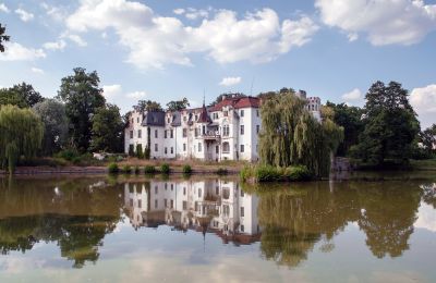 Château à vendre Dobrocin, Pałac w Dobrocinie, Basse-Silésie, Lac/étang