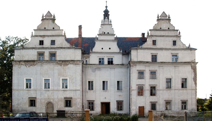 Château à vendre Wilków Wielki, Basse-Silésie,  Pologne