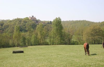 Maison de campagne à vendre Arezzo, Toscane, RIF2262-lang22#RIF 2262 Pferdekoppeln mit Ausblick